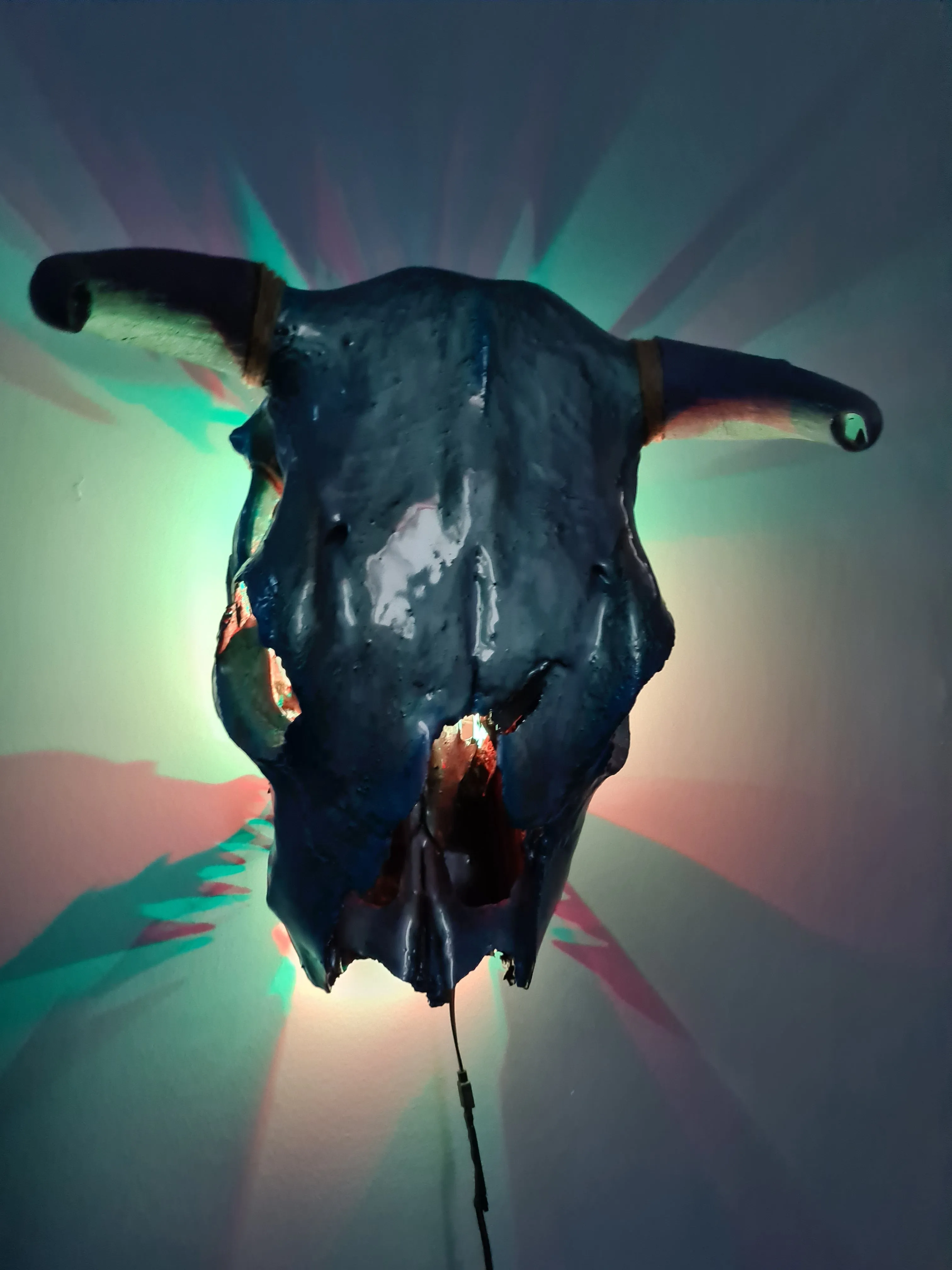 1 of a kind 3/4 genuine bull skull with horns hand painted painted by me