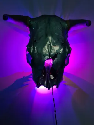 1 of a kind 3/4 genuine bull skull with horns hand painted painted by me