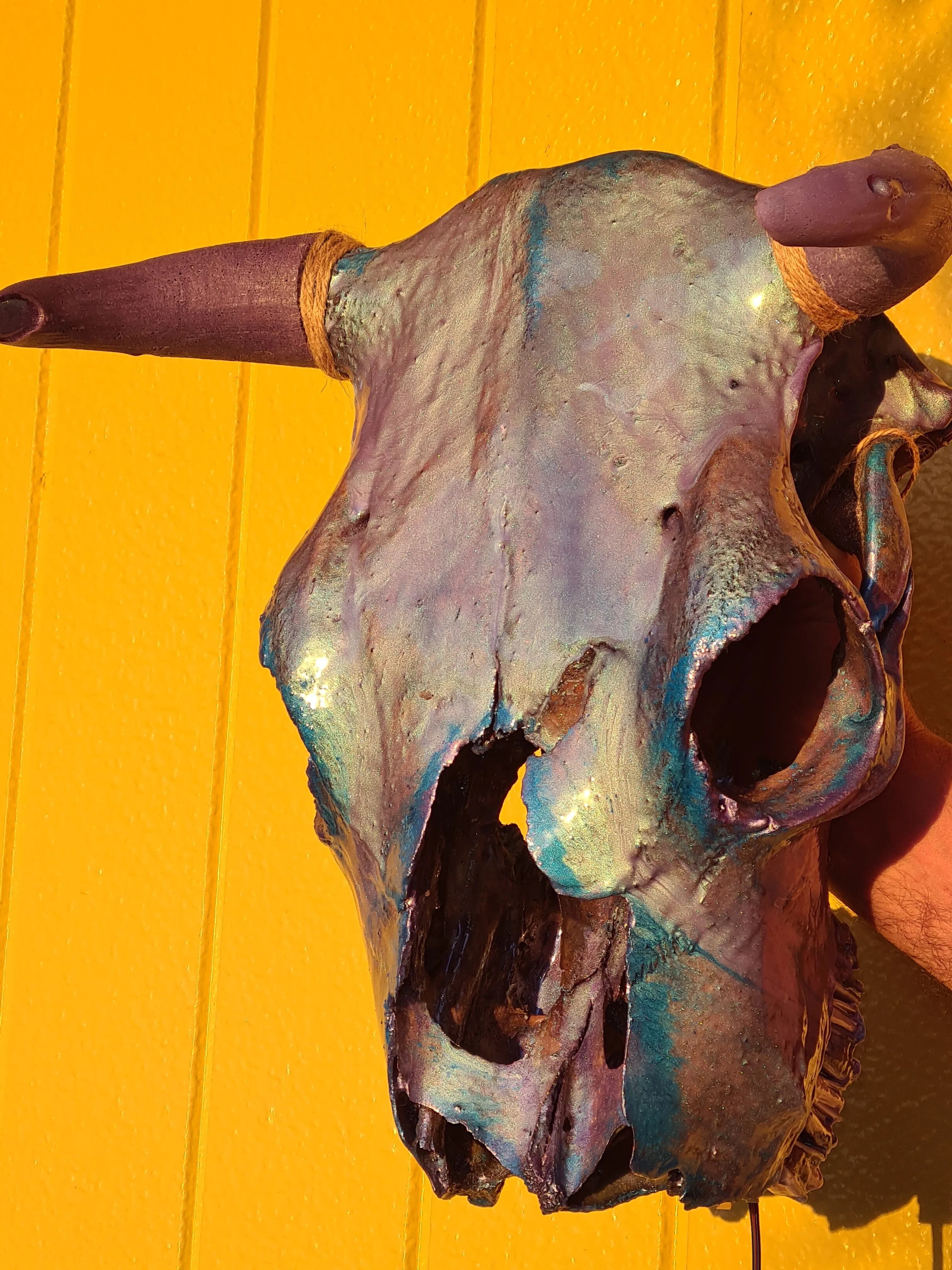 1 of a kind 3/4 genuine bull skull with horns hand painted painted by me