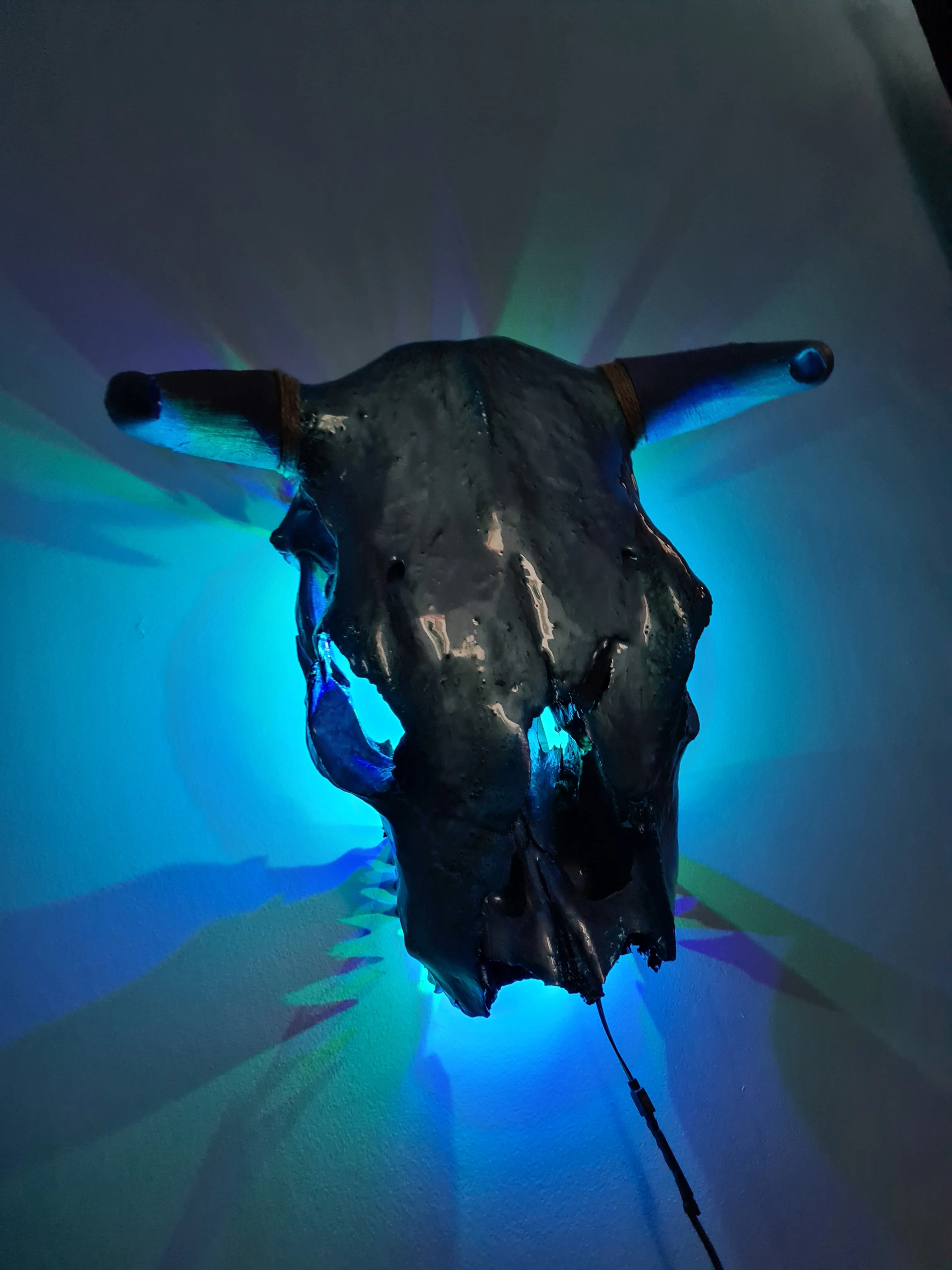 1 of a kind 3/4 genuine bull skull with horns hand painted painted by me