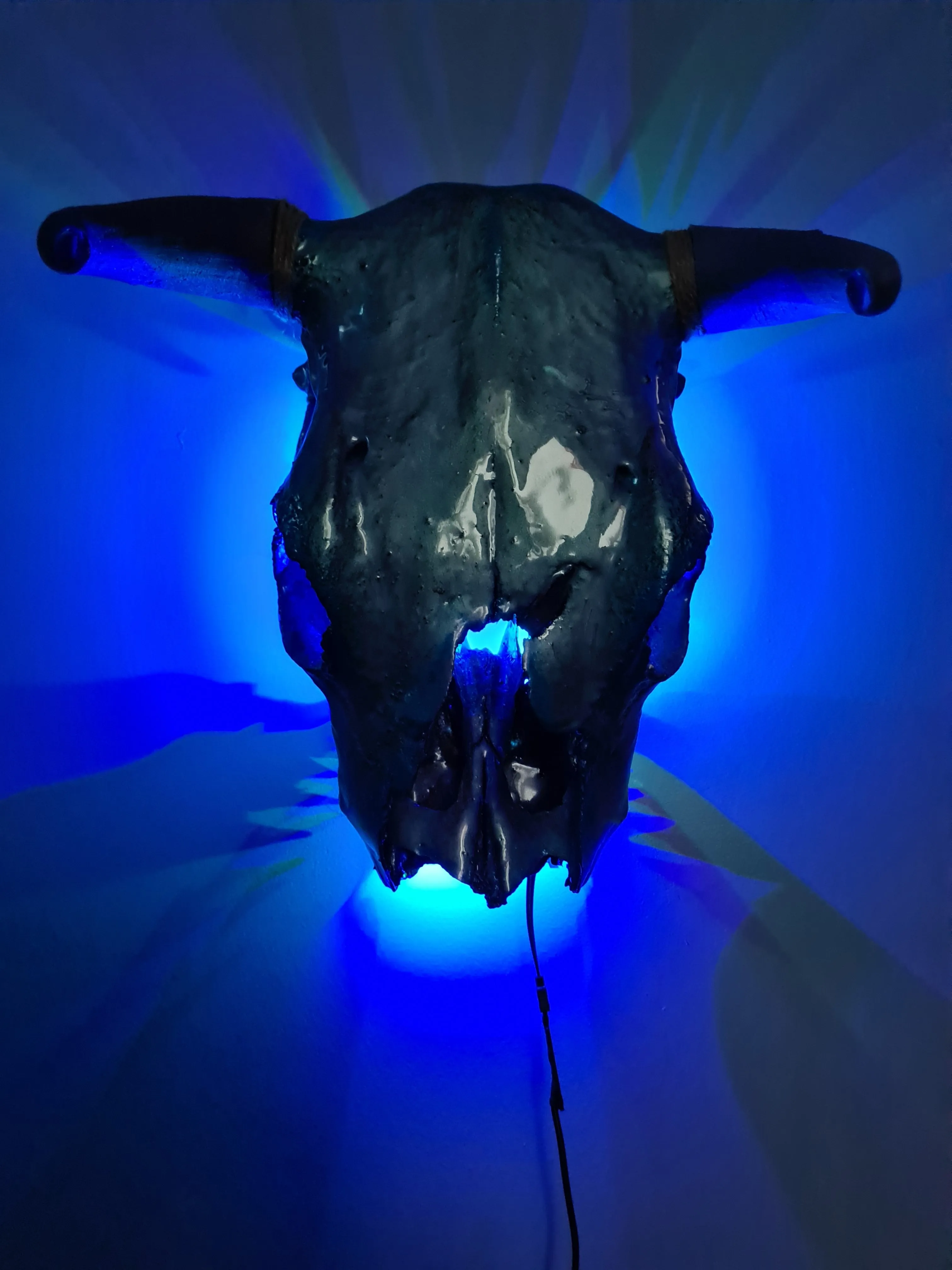 1 of a kind 3/4 genuine bull skull with horns hand painted painted by me