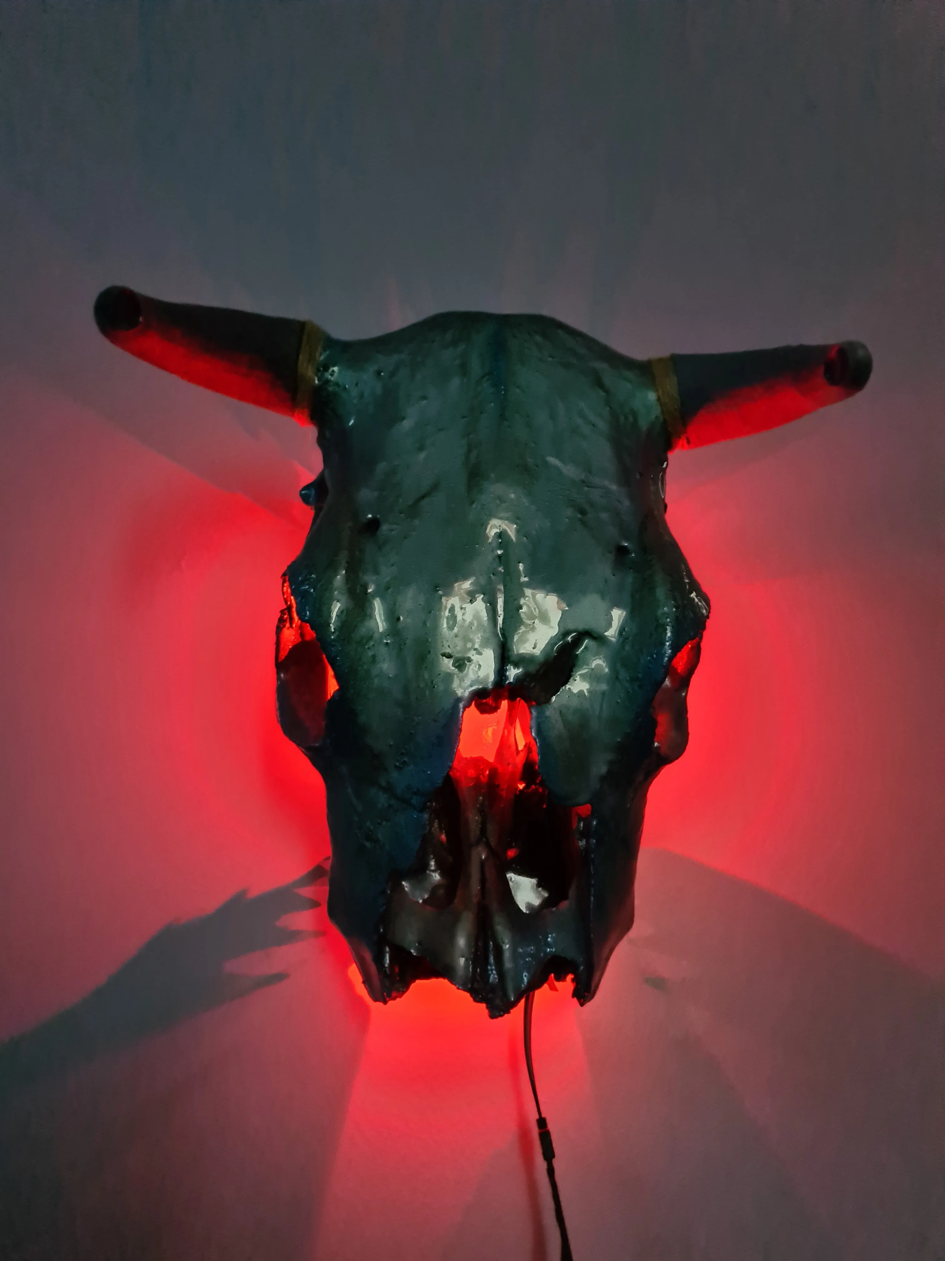 1 of a kind 3/4 genuine bull skull with horns hand painted painted by me