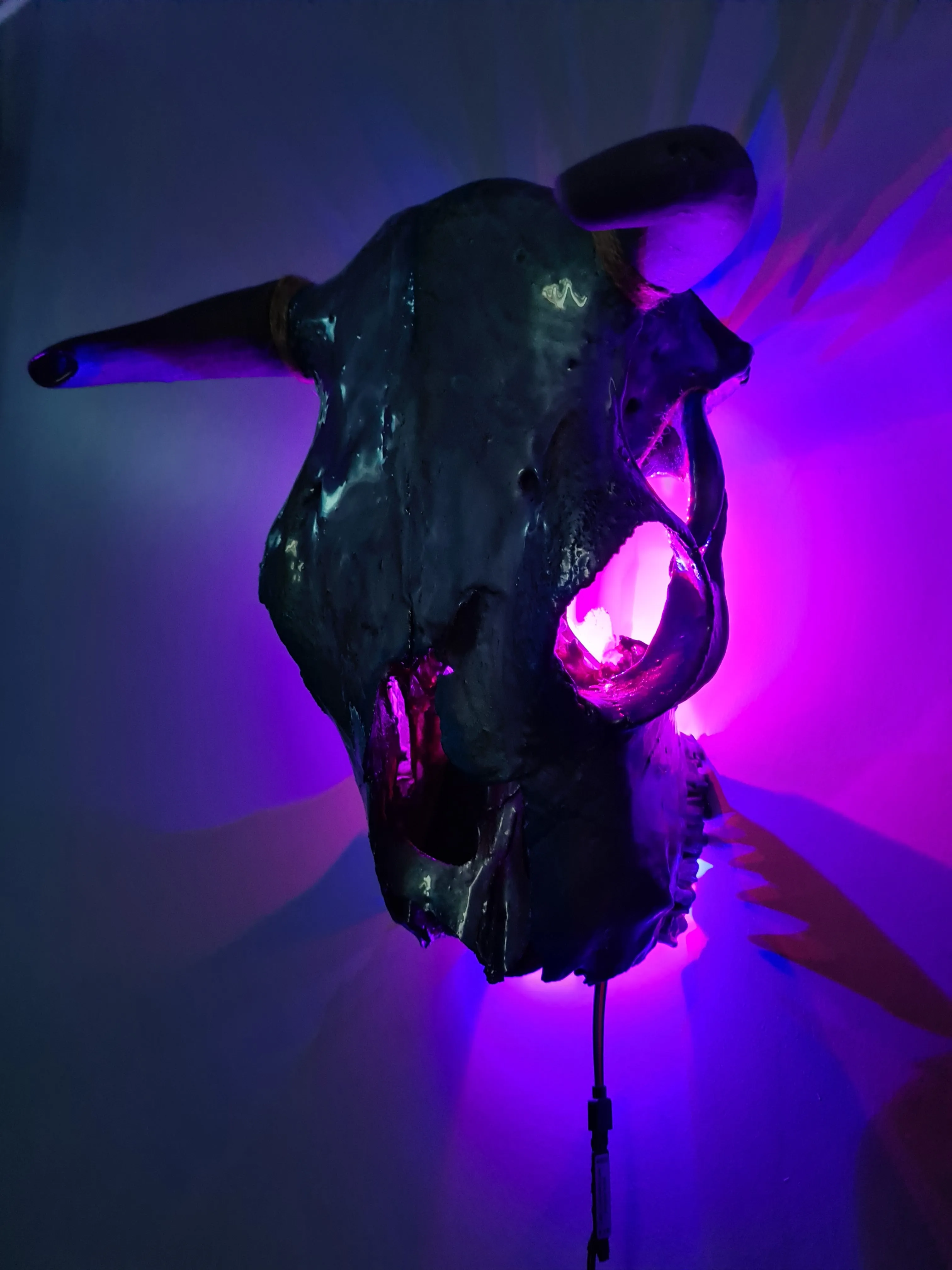 1 of a kind 3/4 genuine bull skull with horns hand painted painted by me