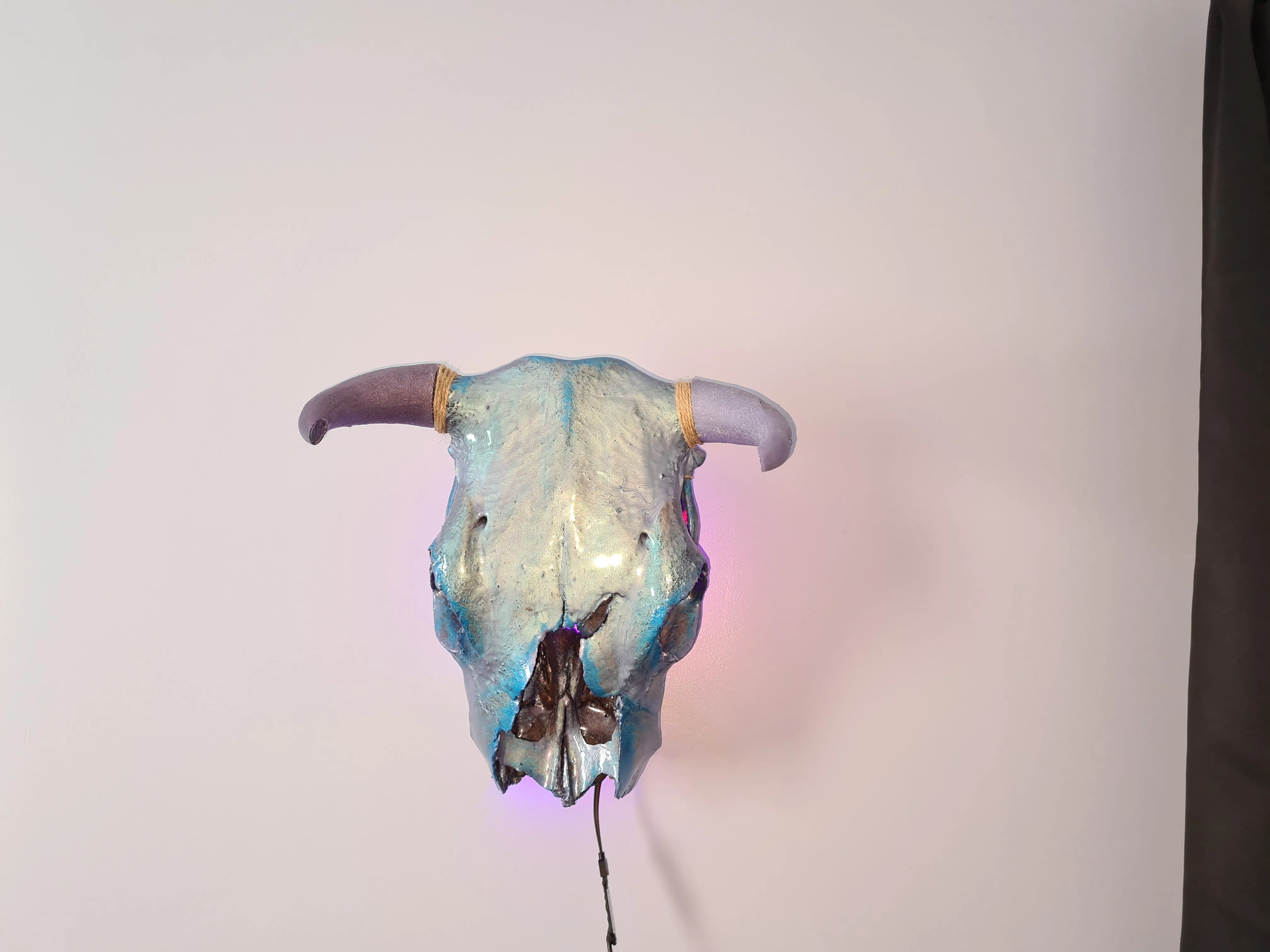 1 of a kind 3/4 genuine bull skull with horns hand painted painted by me