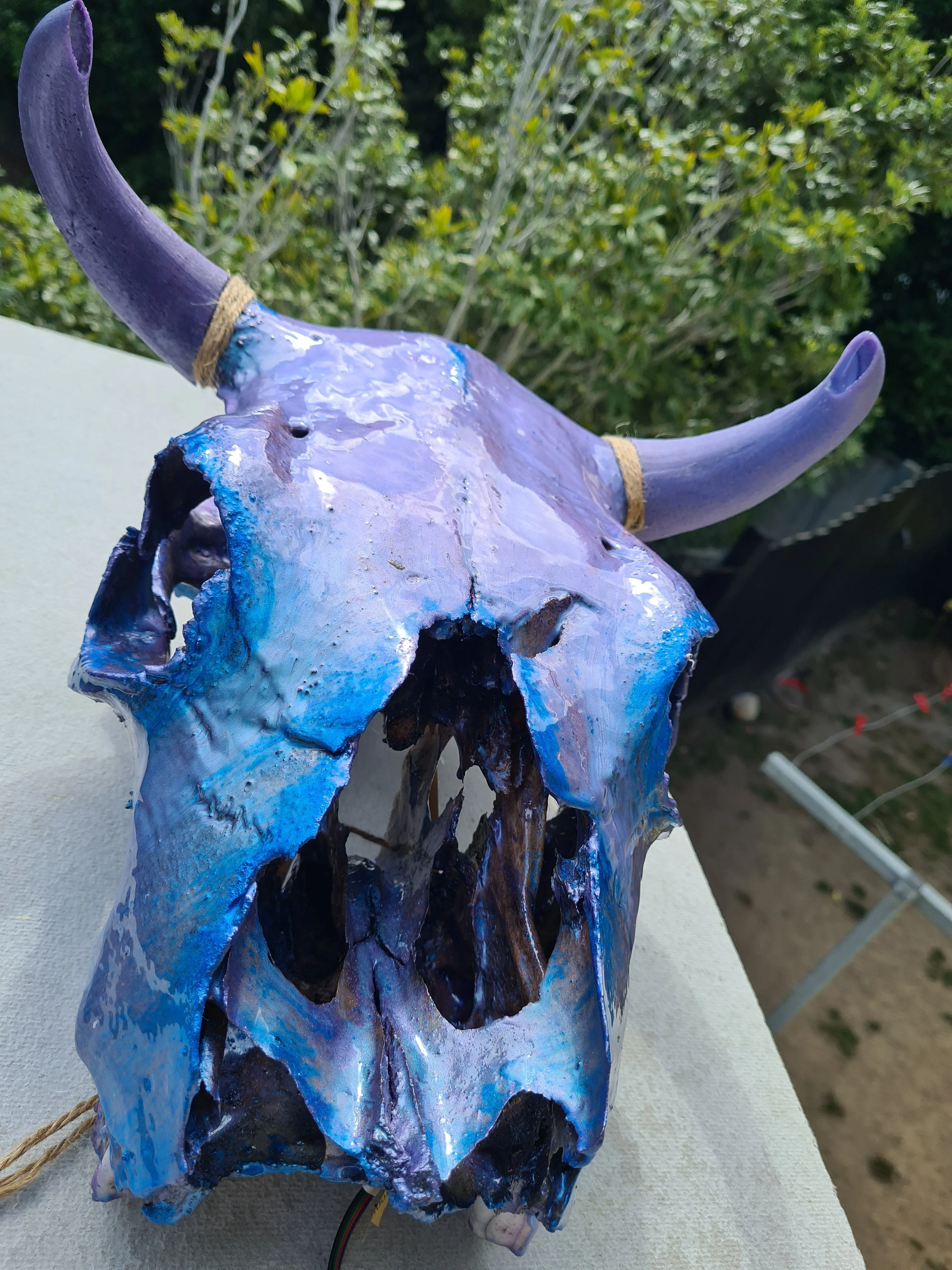 1 of a kind 3/4 genuine bull skull with horns hand painted painted by me