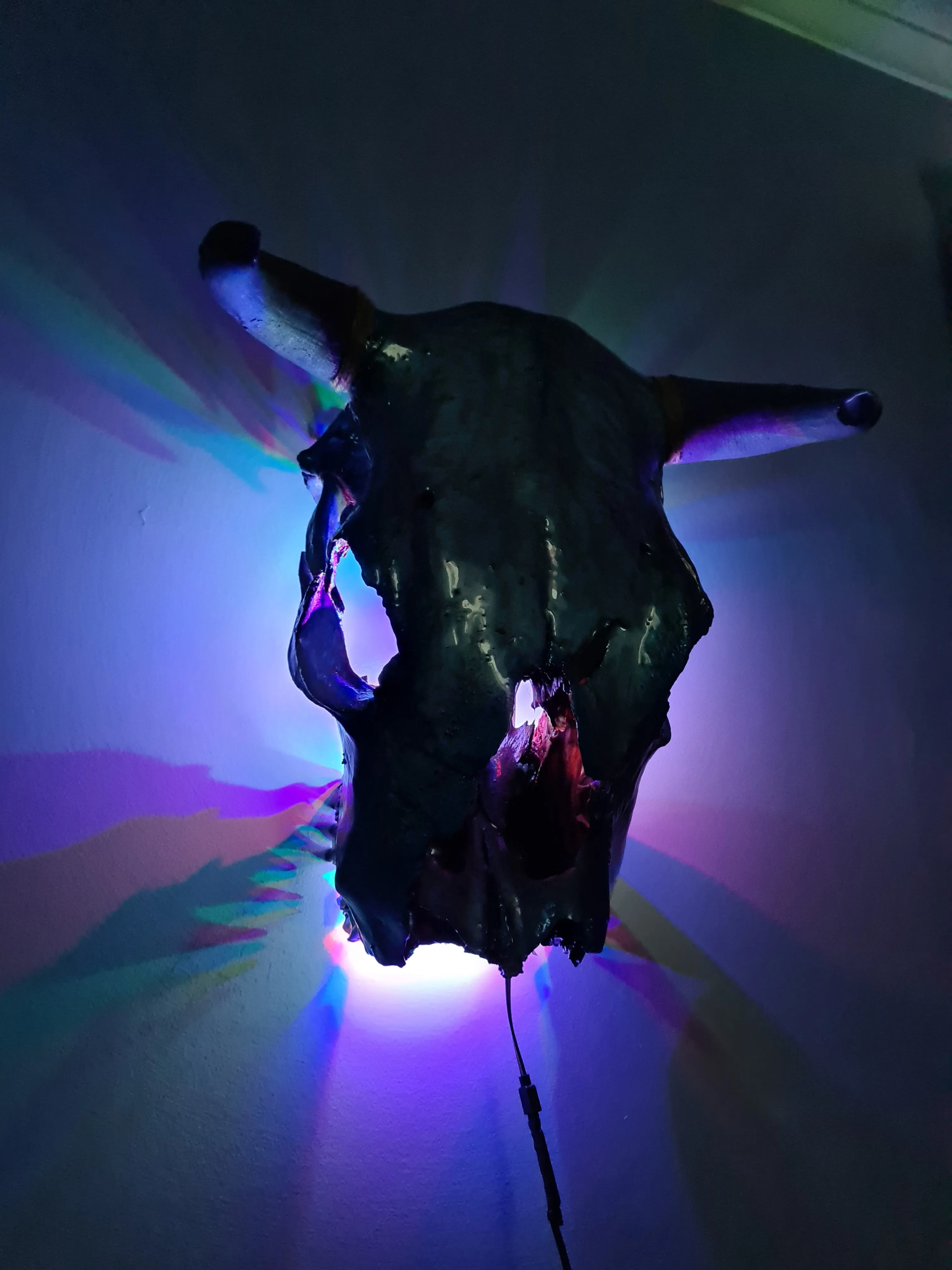 1 of a kind 3/4 genuine bull skull with horns hand painted painted by me