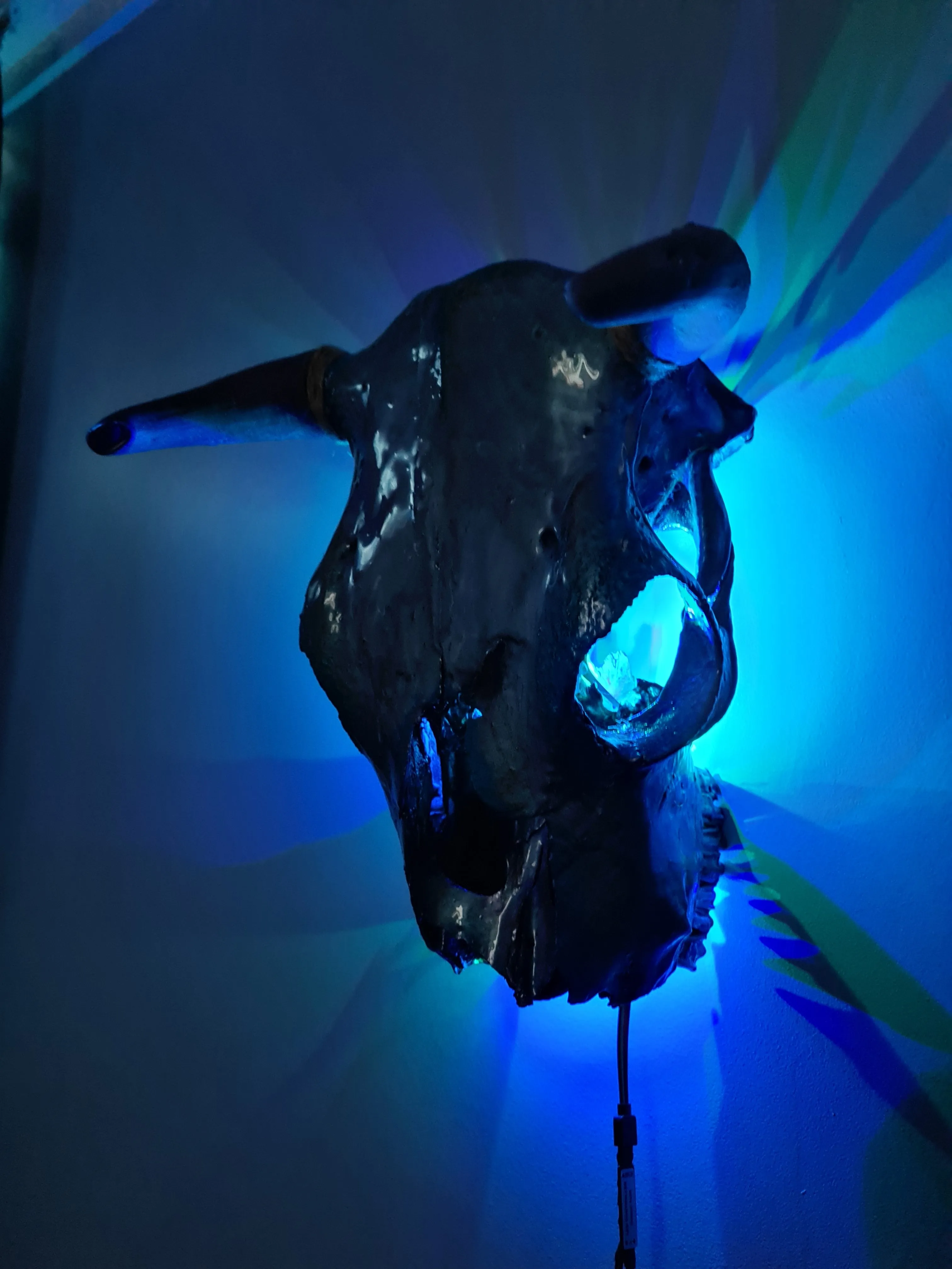 1 of a kind 3/4 genuine bull skull with horns hand painted painted by me