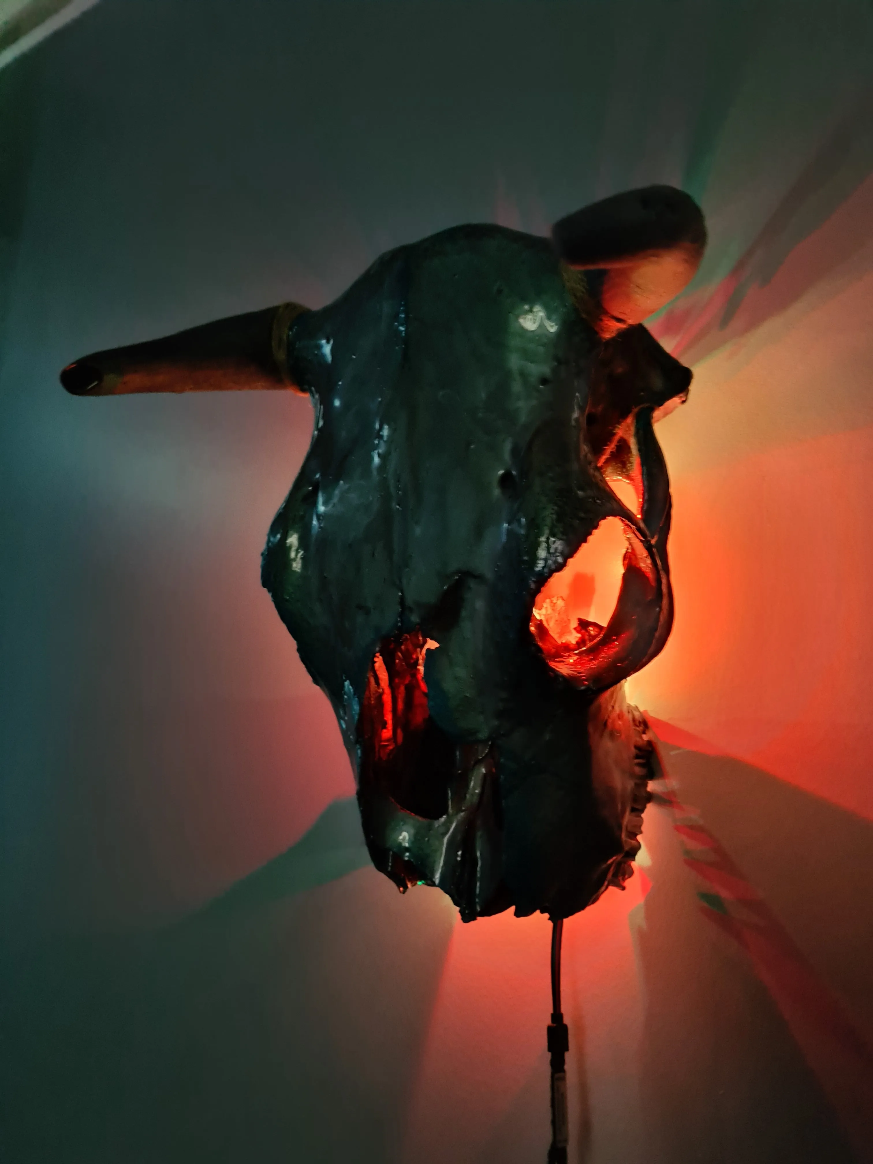 1 of a kind 3/4 genuine bull skull with horns hand painted painted by me