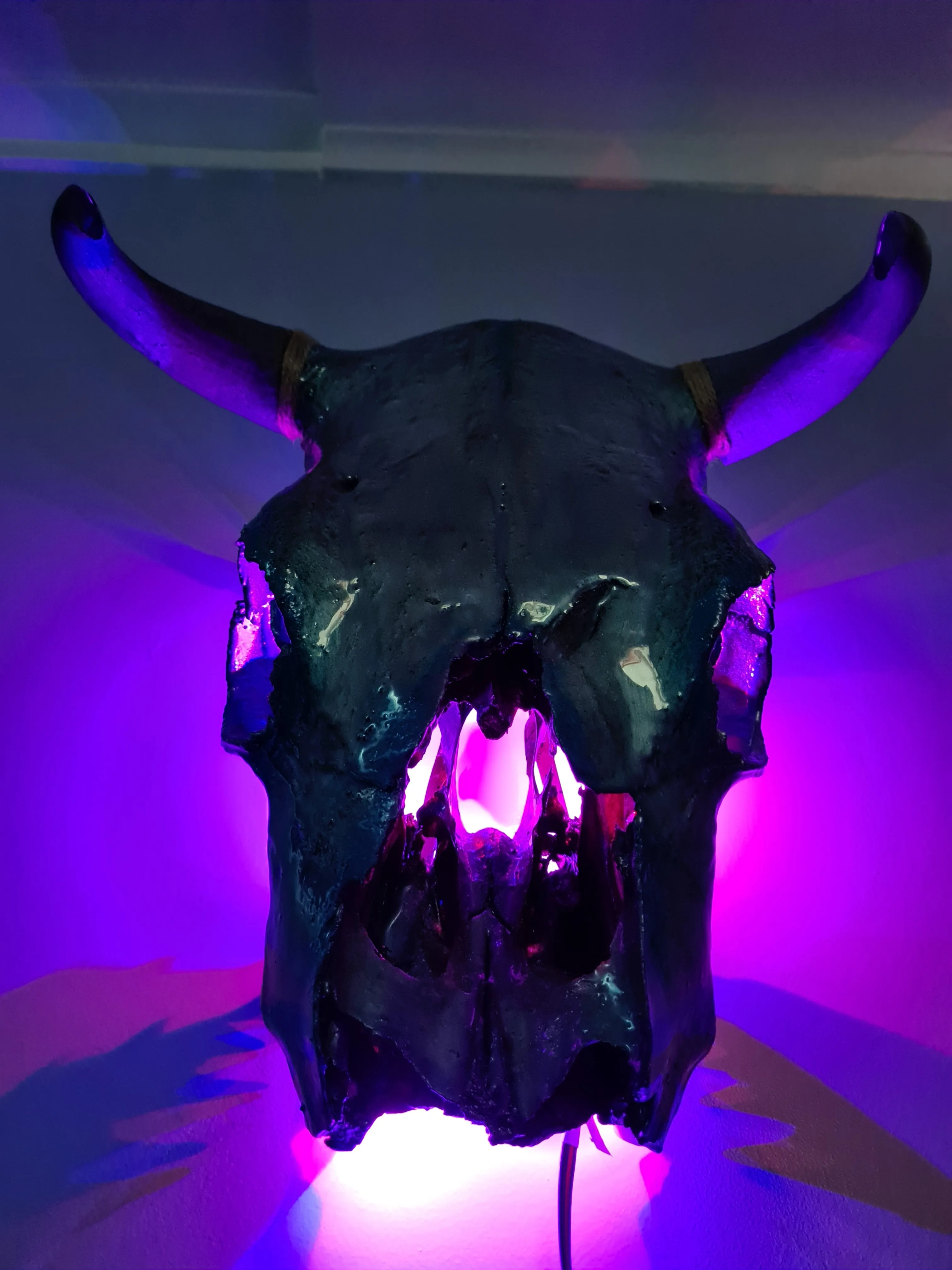 1 of a kind 3/4 genuine bull skull with horns hand painted painted by me