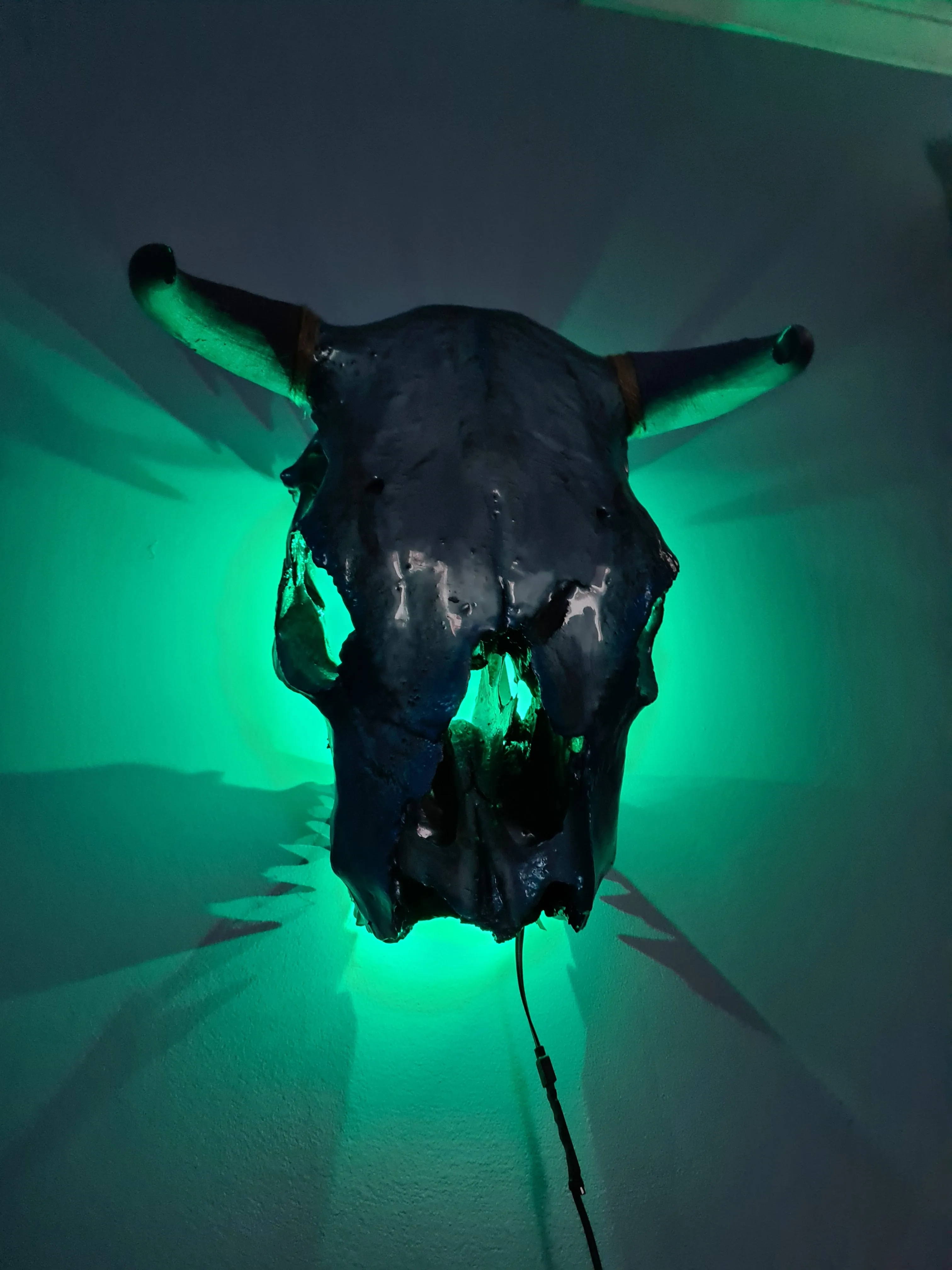 1 of a kind 3/4 genuine bull skull with horns hand painted painted by me