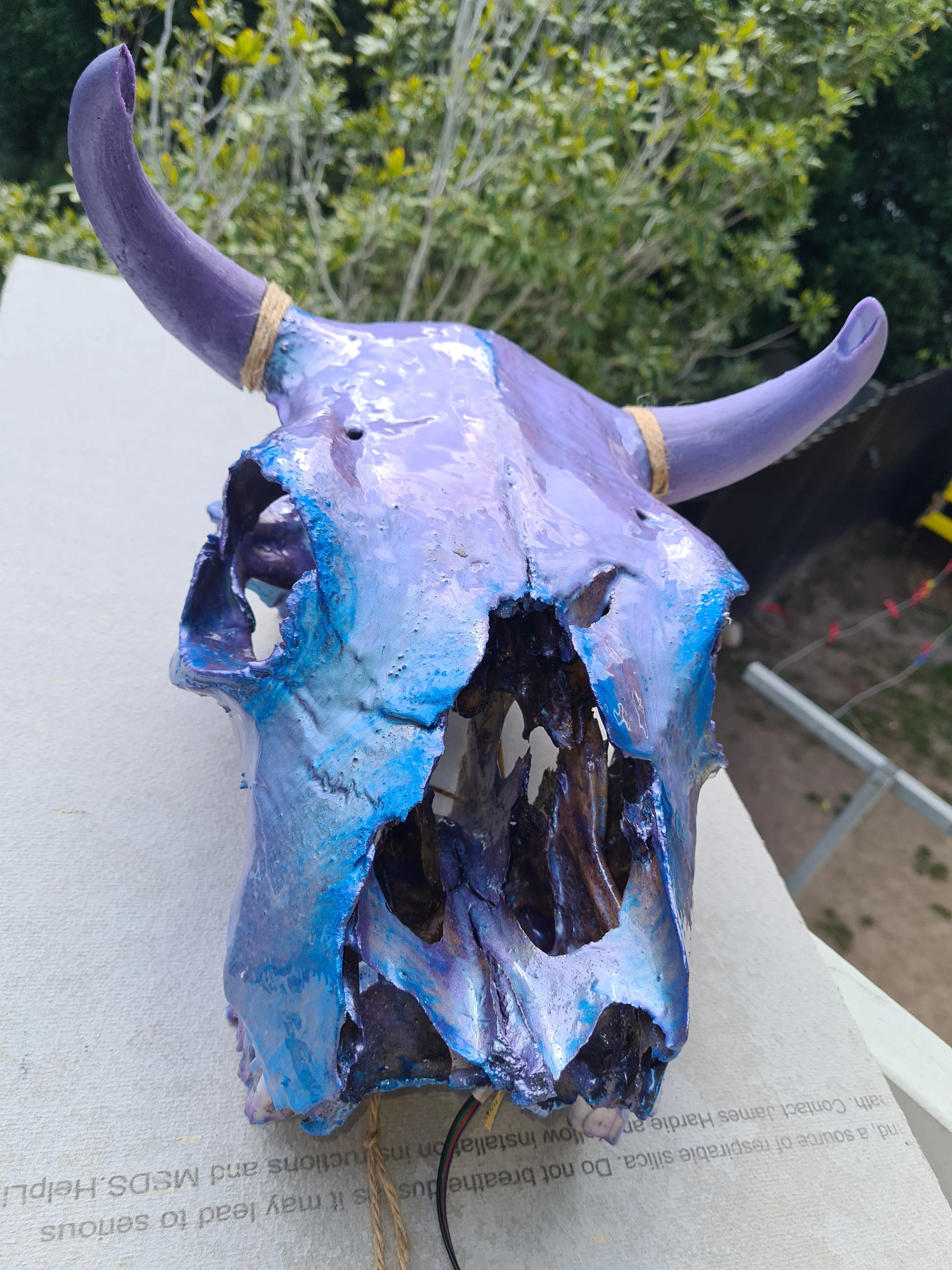 1 of a kind 3/4 genuine bull skull with horns hand painted painted by me