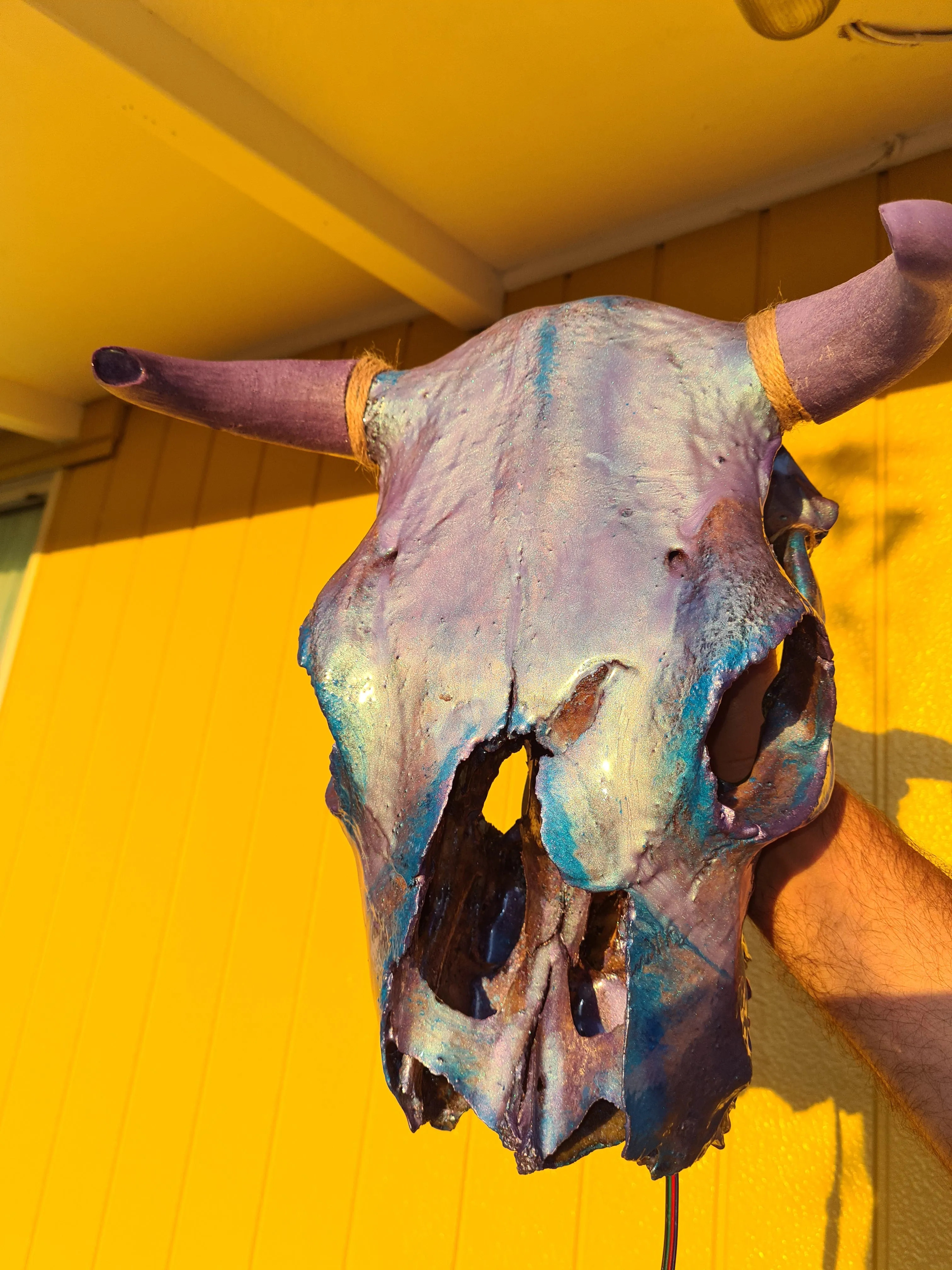 1 of a kind 3/4 genuine bull skull with horns hand painted painted by me