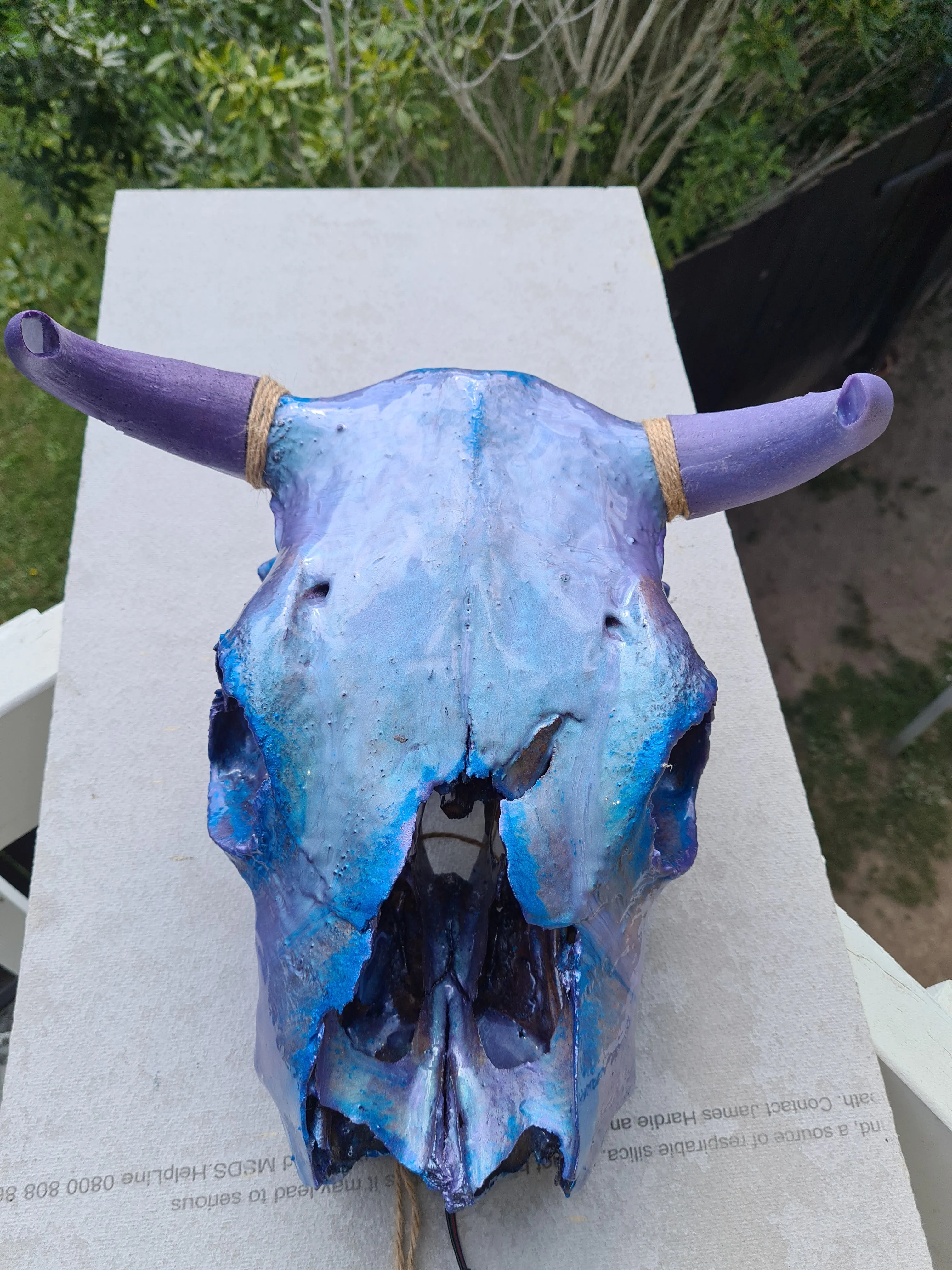 1 of a kind 3/4 genuine bull skull with horns hand painted painted by me