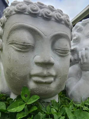 BUDDHA CEMENT PLANT POT (med)