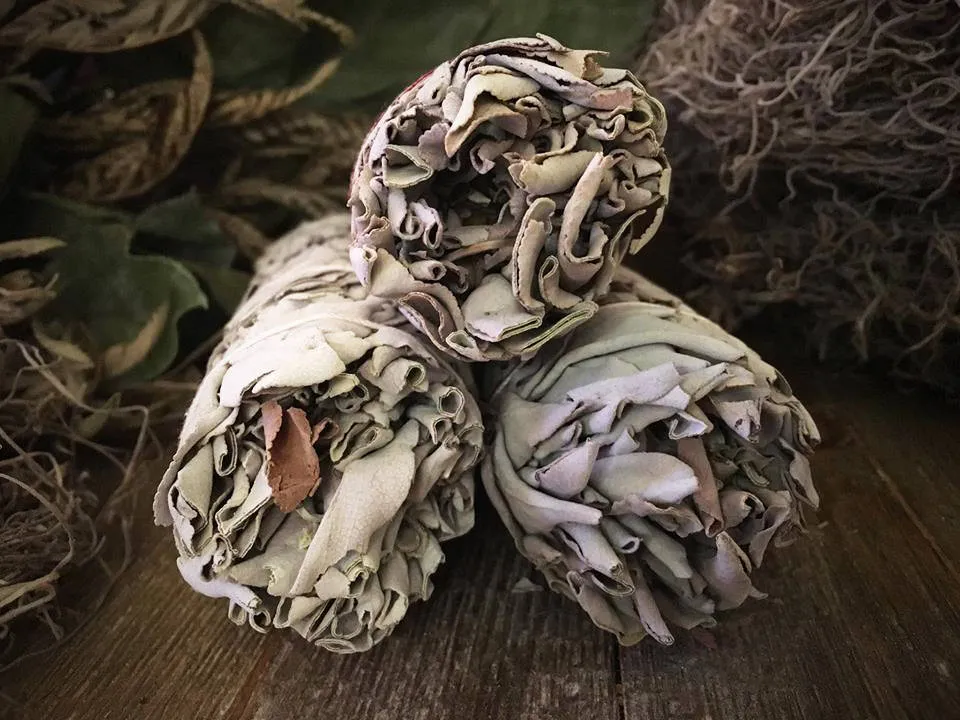 California White Sage - Smudge Bundle