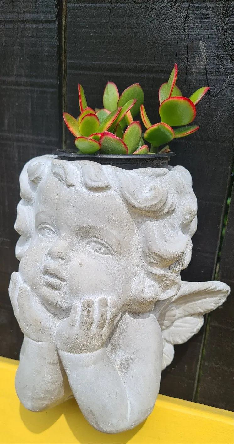 CHERUB CONCRETE PLANT HOLDER POTS two types & sizes