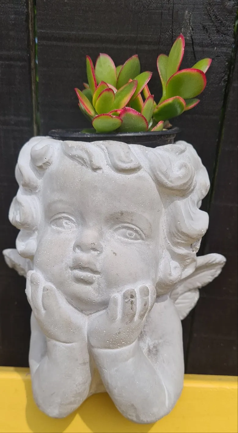 CHERUB CONCRETE PLANT HOLDER POTS two types & sizes