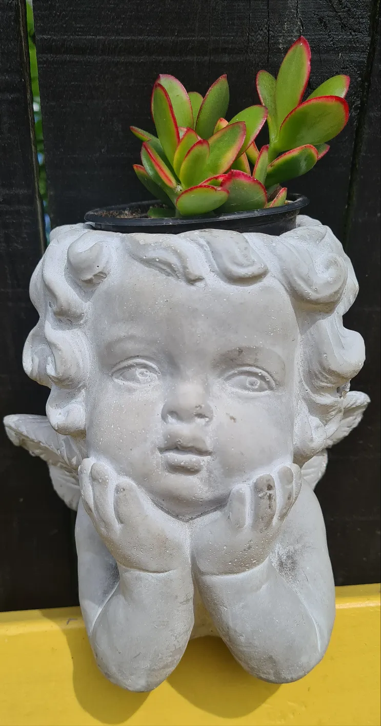 CHERUB CONCRETE PLANT HOLDER POTS two types & sizes