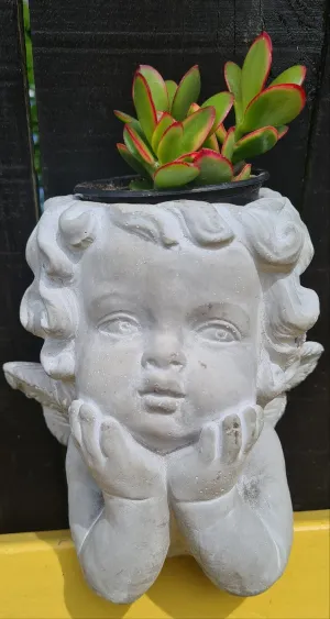 CHERUB CONCRETE PLANT HOLDER POTS two types & sizes