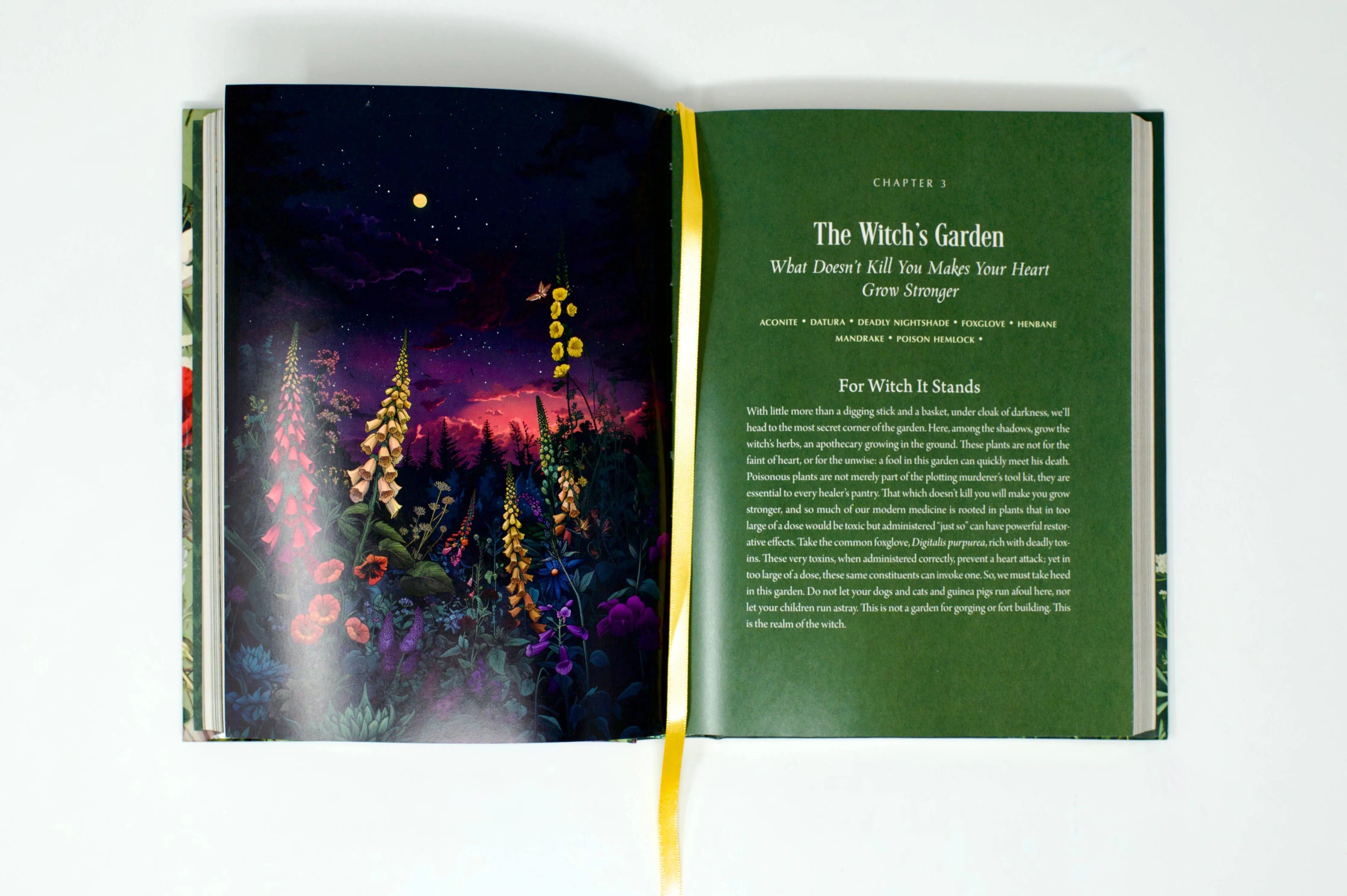 Enchanted Plants: A Treasury of Botanical Folklore and Magic
