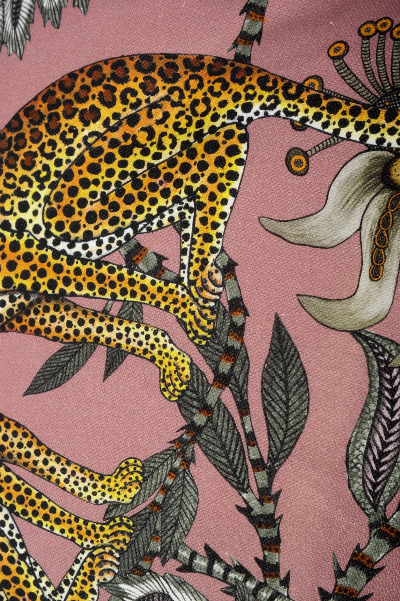 Magnolia Lovebird Leopards Cotton Pillow Cover