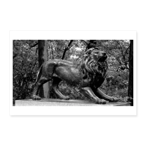 PROTECTOR Poster 12x8