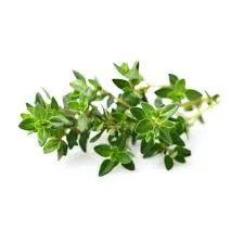 PURE THERAPEUTIC ESSENTIAL OILS