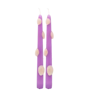 Scallop 3D Candle Set of 2
