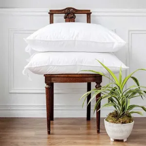 St-Genve | Chteau Down Feather Pillow