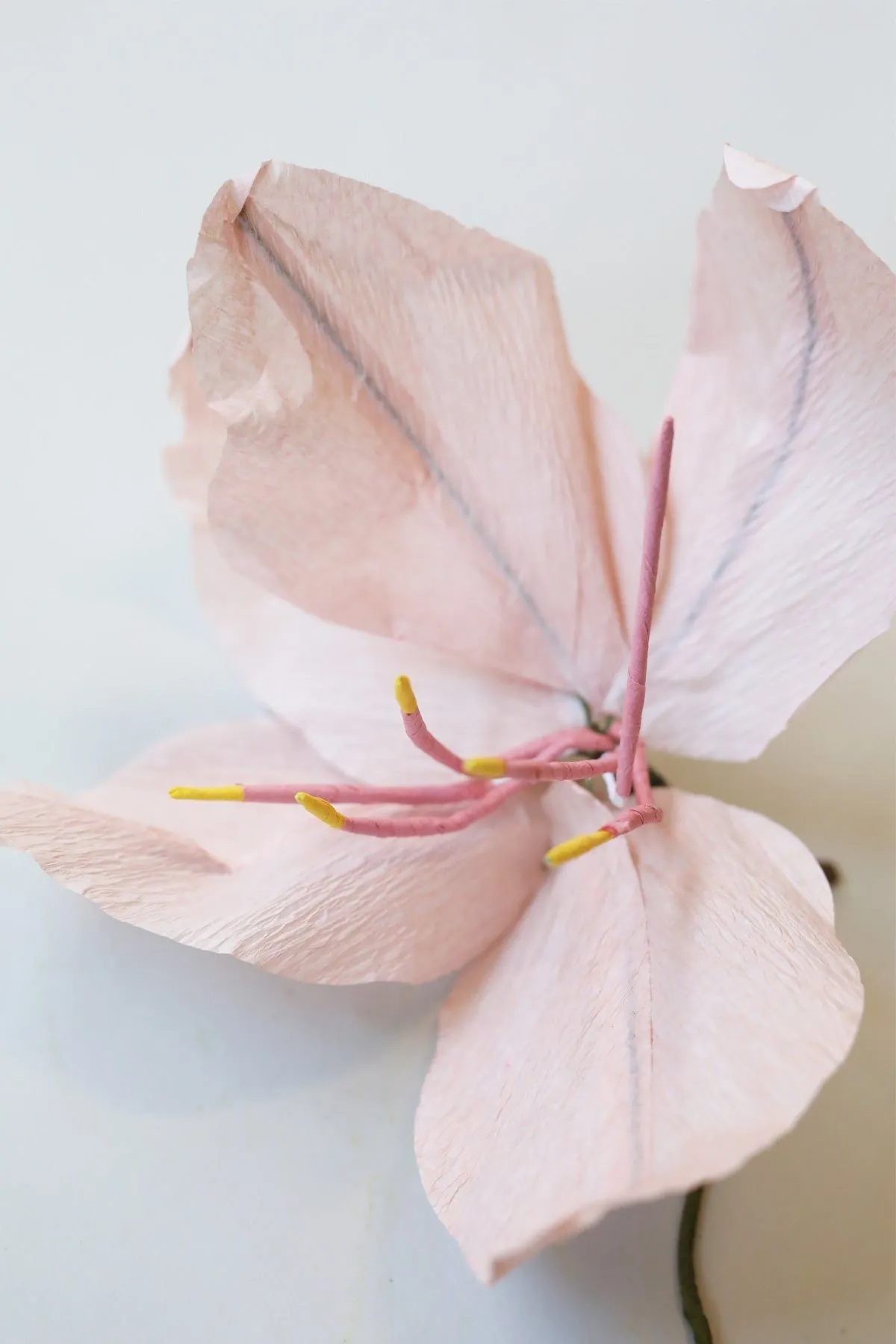 Studio About Paper Flower Lily, Rose