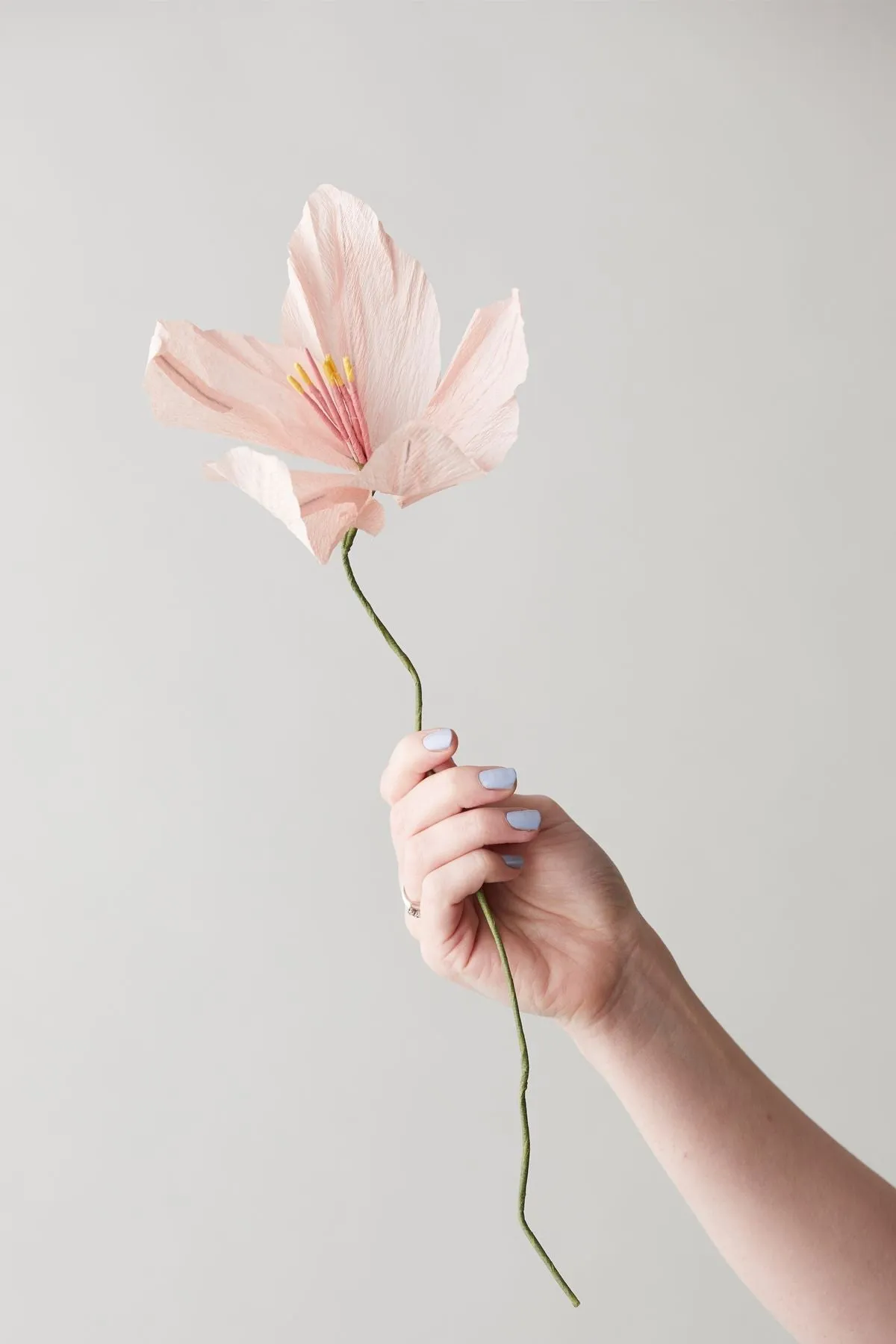 Studio About Paper Flower Lily, Rose