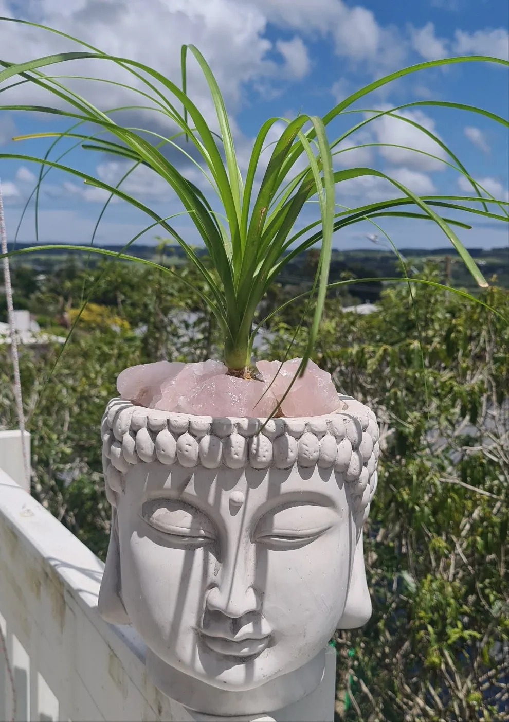TERRACOTTA BUDDHA HEAD PLANTER POT