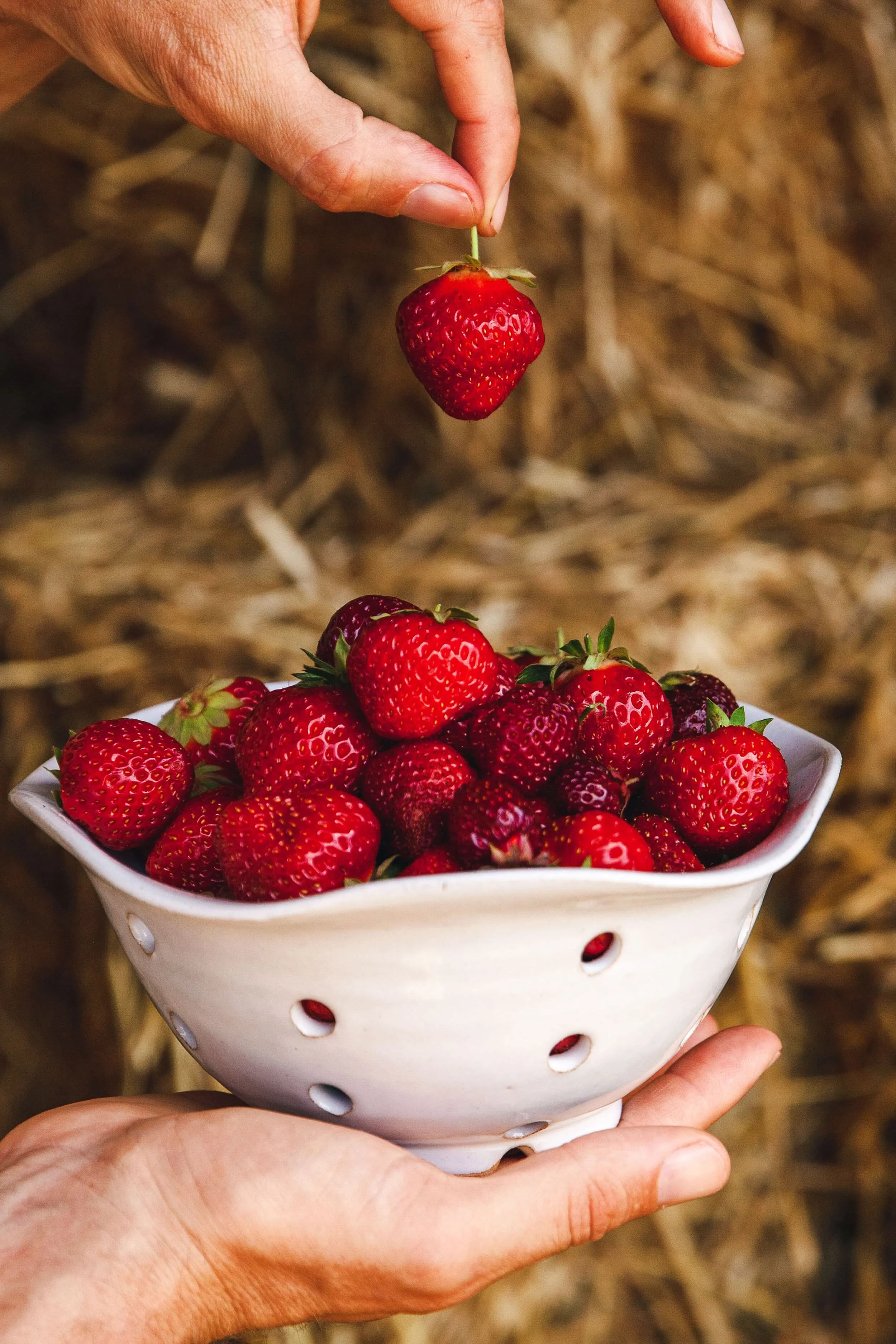 Windrow Berry Bowl